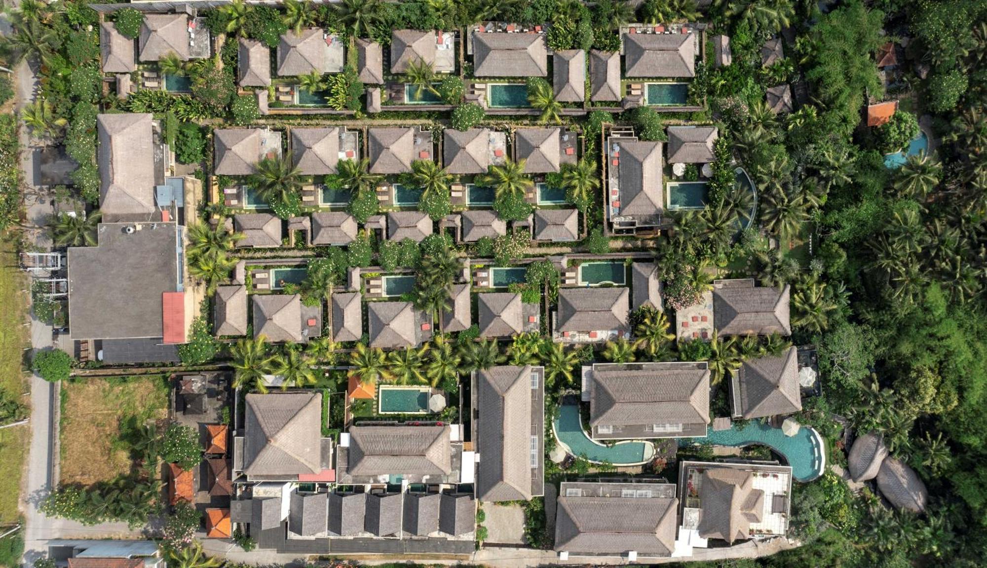 Ubud Nyuh Bali Resort & Spa Exteriér fotografie Aerial view of the resort