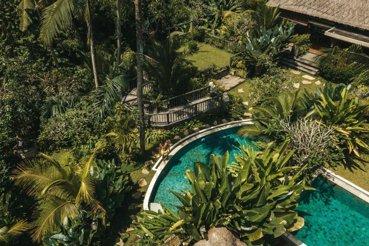 Ubud Nyuh Bali Resort & Spa Exteriér fotografie The swimming pool at the resort
