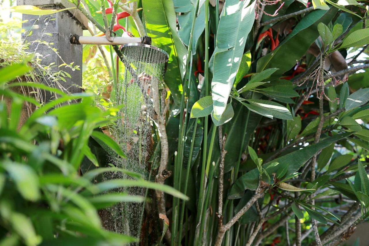 Ubud Nyuh Bali Resort & Spa Exteriér fotografie Banana plants